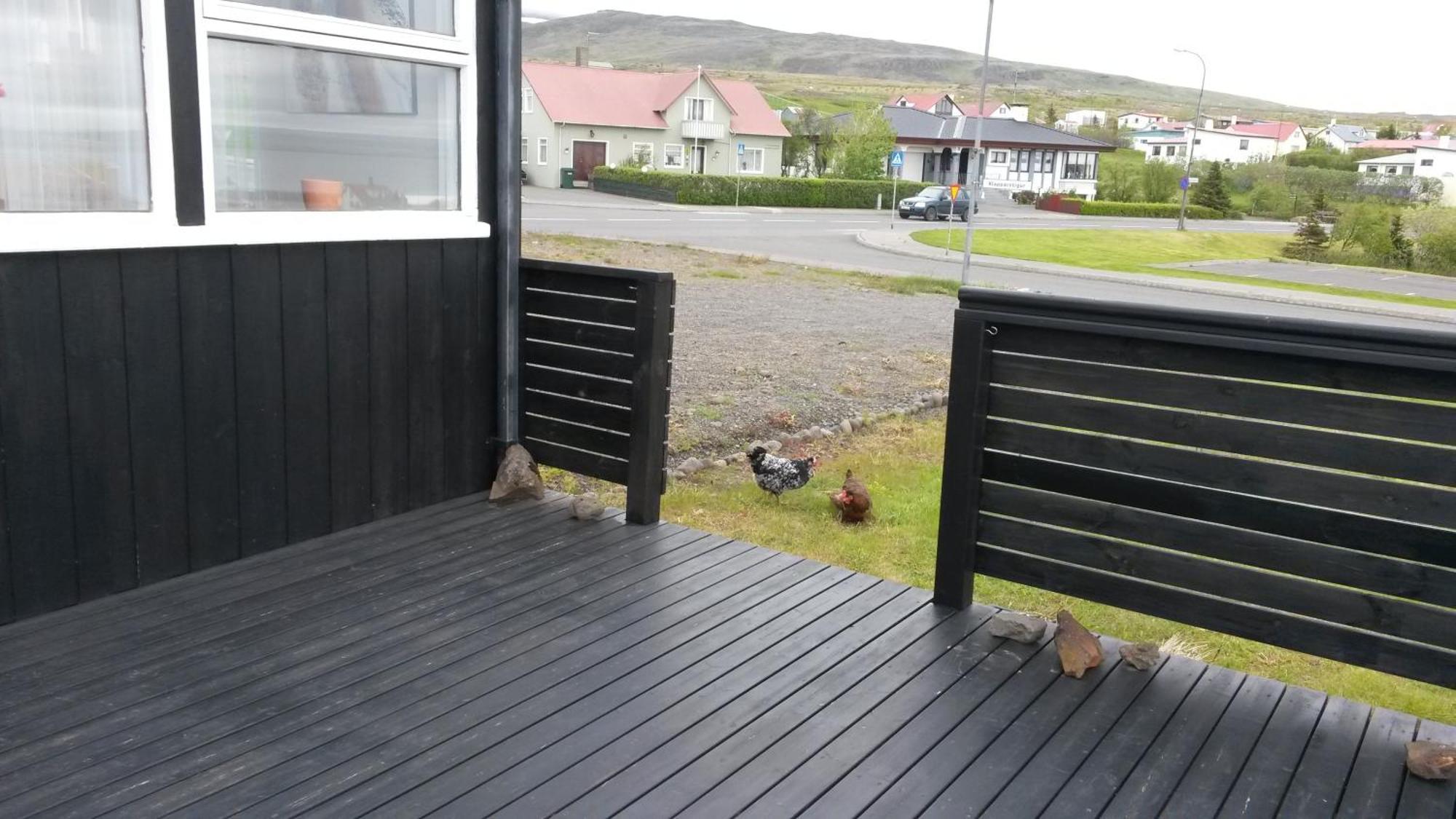 Albert Guesthouse Hvammstangi Exteriér fotografie