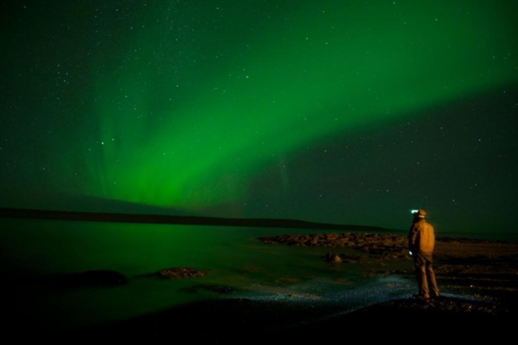 Albert Guesthouse Hvammstangi Exteriér fotografie